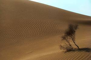 Boshrouyeh Desert