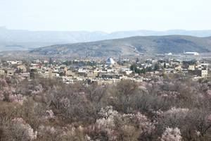 Arsenjan