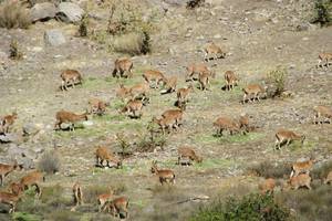 protected area