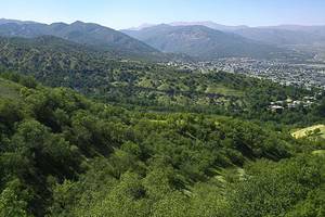 یاسوج