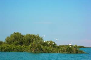 wildlife refuge