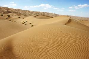 Desert